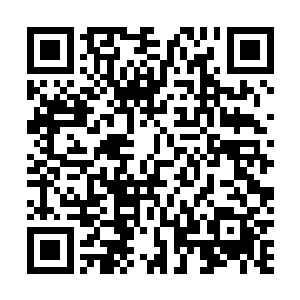 乱石山的高端战力极有可能发展到足以媲美南方巫师联盟二维码生成