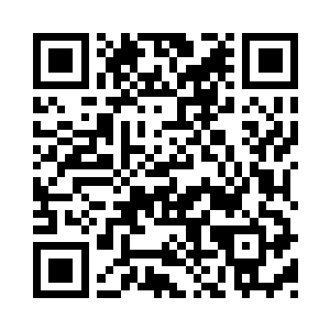 了这笔钱装修的事林小乖就帮着一起解决了二维码生成