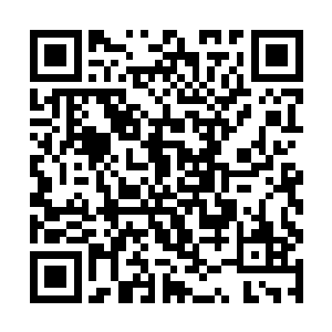 事后会带来一大堆麻烦和隐患的保险欺诈还是算了吧二维码生成