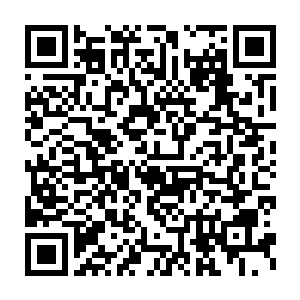 事后新制好的雕像书的扉页上清晰的刻上了罗姆拉比索女士的签名二维码生成