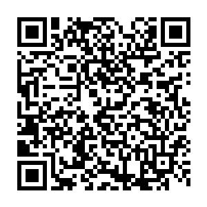 事学院的一年级生没有一个人可以在我的拳下坚持三十五分钟以上二维码生成