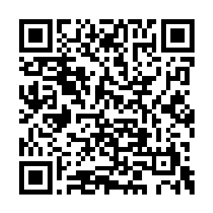 事实上他只在学习枪械原力阵列基础理论的时候二维码生成