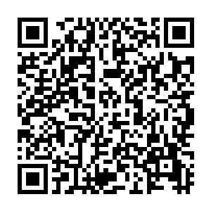 事实上苗毅越来越感觉到老白当年让他吃尽苦头给他打下的那番基础的重要性二维码生成