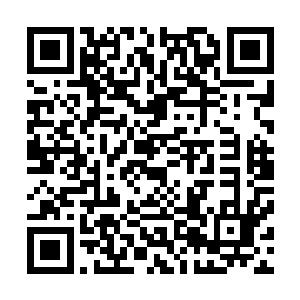 事实就是如此――我以后都不会因为奥斯卡而高兴或沮丧了二维码生成