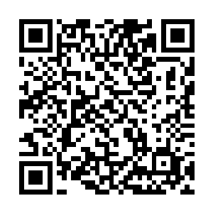 事实情况是莫小鱼把琳达扔到了宋城后就再没联系了二维码生成