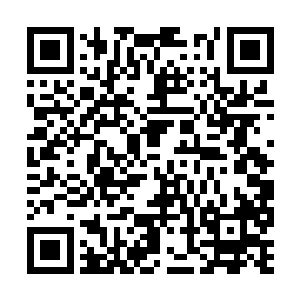 事实是荣的心理素质根本不足以承受这么大的压力二维码生成