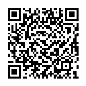 事情不能用放大镜或者显微镜去看这是一个常理二维码生成