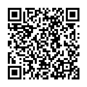 事情的冲突是因为跟叶天同行的一位漂亮中国女孩子而起二维码生成