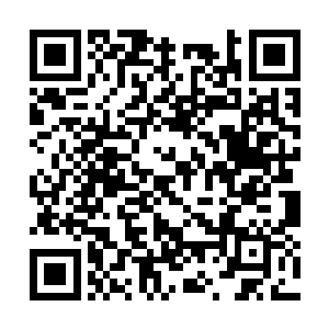 事故原因在于由智脑控制的星系管理系统忽然关闭二维码生成