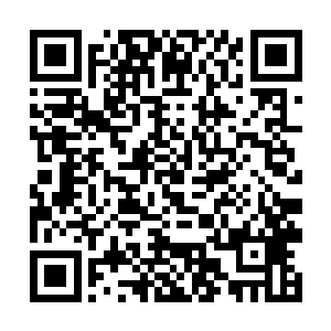 二人在这里查下发现这白狼马确实是没什么异常之后二维码生成