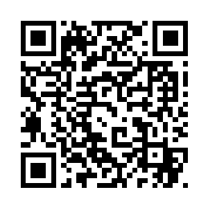 二人脸上都流lu出相同的淡淡笑容二维码生成