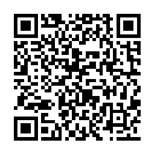 二位老人看着累计下载次数后面那一串恐怖的零二维码生成