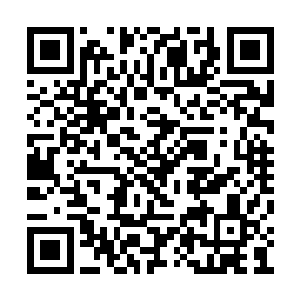 二十七只赤级初期的妖兽我给你们三块下品仙晶二维码生成