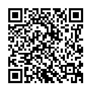 二十个特战大队的队员在几个照面间就被三个人干掉了七八个二维码生成