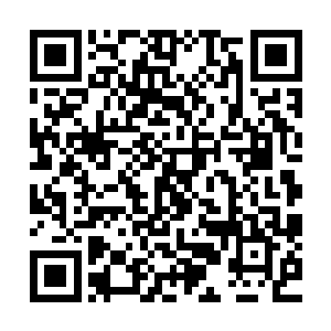 二十五万的销售数字几乎让专业销量统计专家们都失去了语言二维码生成