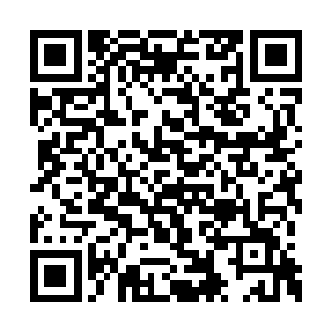 二十出头的年纪便管理了家族旗下的几家大公司二维码生成