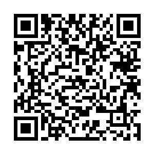 二来要是真的被女蛮族长截住了也能拖延一下时间二维码生成