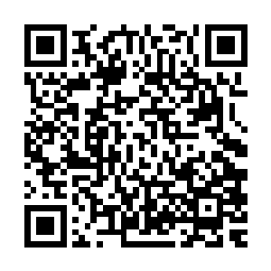 二皇子那边岂不是……就在大皇子的心激动的快要跳出来的时候二维码生成