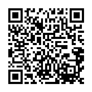 二鼎七阶以下的人使用元素和特殊手段在大荒兽的脚下做文章二维码生成
