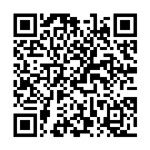 于是一个刚刚出炉还没来得及享誉修真界的大乘期大能二维码生成