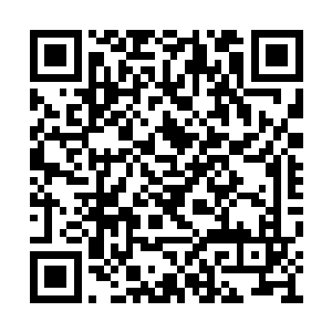 于是一夜之间在荒漠上矗立起一座新的蛮荒神殿二维码生成