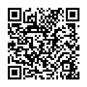 于是从买机票到帮着杜曼雪换登机牌等所有的服务二维码生成