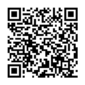 于是他准备在城堡山下找一间没有被豺狼人占领的农舍暂住二维码生成