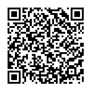 于是他直接拿出了当初自己与孟凡义签署的一份园林设计图纸的转让协议二维码生成