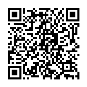 于是在威廉眼前就出现一张似是笼罩着淡淡云雾的纯美小脸二维码生成