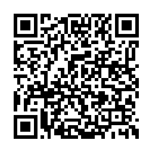于是她就以公司同事的名义经常到张家做些家务二维码生成
