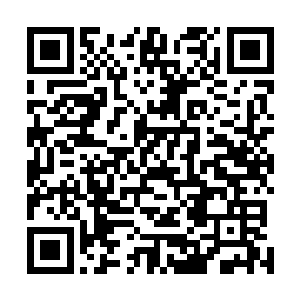 于是她就只好从苏茜怡身边人下手……恰好梓箐钻了进来二维码生成