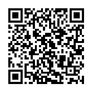 于是就煞有介事地吩咐下面的人将那老奴带到内门来二维码生成