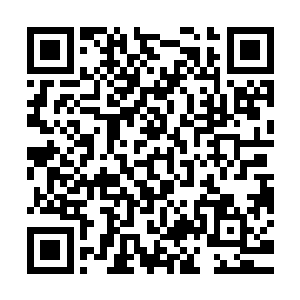 于是就这样流传着血珀珠不但能够在危急时刻可以补充人的气血二维码生成