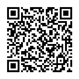 于是师徒两人就这么在夜间的千叶之森中疯狂地奔行二维码生成