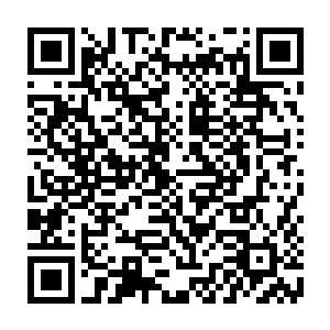 于是很快就了然了谢芳华要在秦钰搬的救兵赶来之时做一场他们也伤亡惨重的戏二维码生成