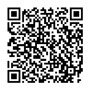 于是心中怨念的苗大洞主开始集中精神琢磨起来该怎么弄死这帮家伙二维码生成