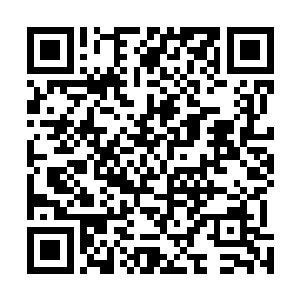 于是江帆把符咒世界里面那些改造过的双头剑蝶释放出来二维码生成