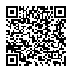 于是训练这些家伙的任务便放到了我和郑午的身上二维码生成