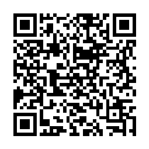 于是那明明应该软沓沓的钢丝就如同活了过来似的二维码生成