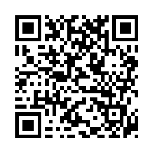 于是龙傲天就在元素果树周围布置了一个禁制二维码生成