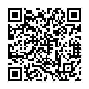云二一低头果然看见云家的飞云令从自己的腰袋里掉出来了二维码生成