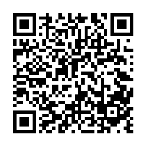 云少主和萱若小姐定然是觉得一直呆在圣雪山上太闷了二维码生成