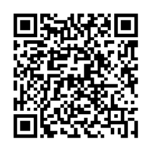 云峥从来没有用过这样生硬的口气和陆轻盈说过话二维码生成