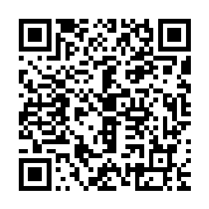 云峥就岔开话题专心的向苏景先请教苏洵最近所作的几篇文章二维码生成