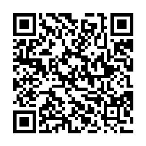 云峥撕下来一只鸡腿走到那个脸上还有泪痕的孩子身边二维码生成