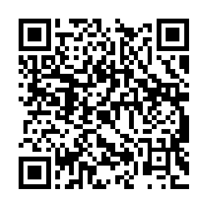 云峥的亲兵将最后两只毛色油亮的海东青放飞之后二维码生成