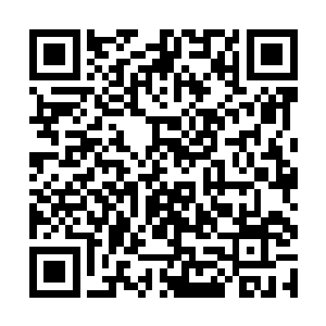 云峥笑着从怀里掏出一把苜蓿草放在磨盘上对老汉说二维码生成
