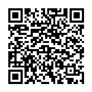 云帅已经布下了天罗地网等着没藏讹庞一头钻进来二维码生成