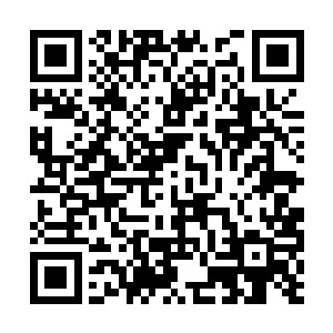 云府的二管家老赵如今在豆沙关可是一位风云人物二维码生成