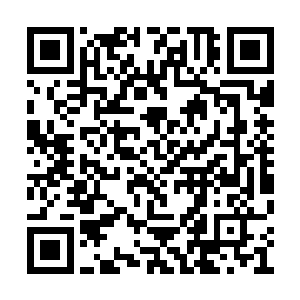 云擎叫住了从正屋里端了一盆血水出来的曲妈妈二维码生成